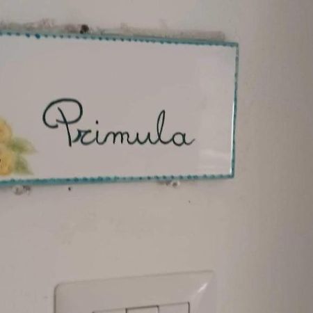 Ferienwohnung Il Glicine - Primula Paciano Exterior foto